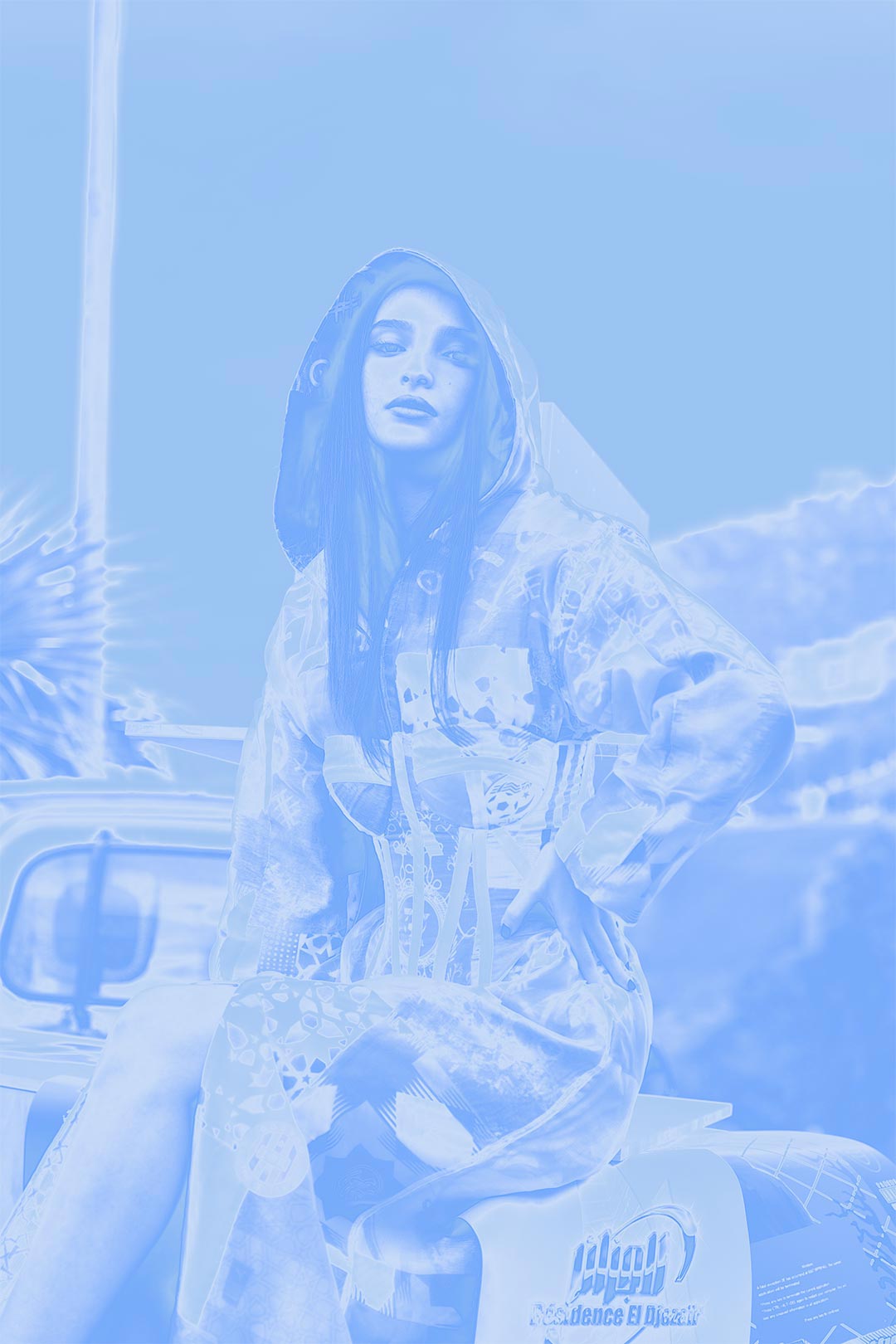 Hypolite Martin – Fashion Project DZ