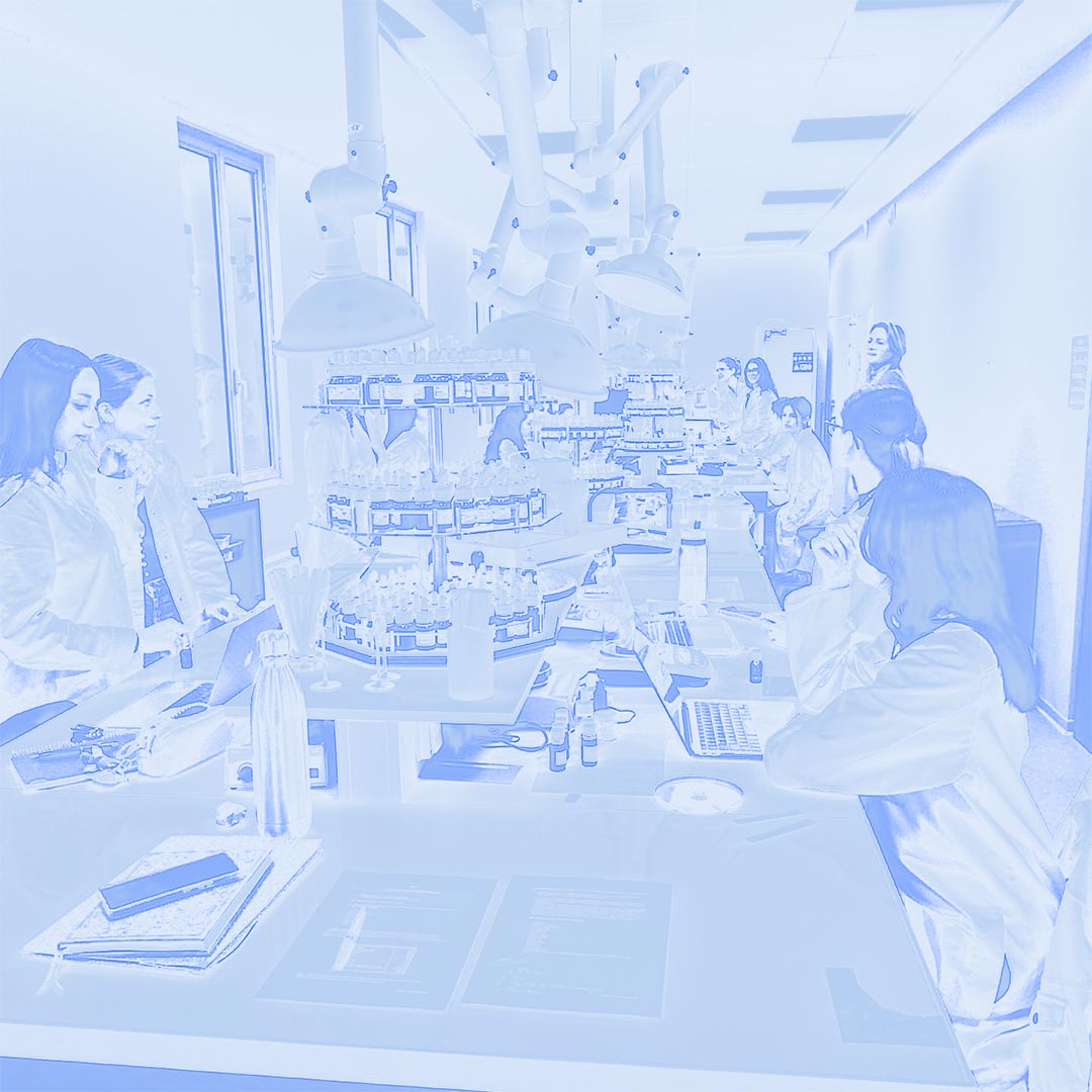 Hypolite Martin – Chemistry of sensory decors